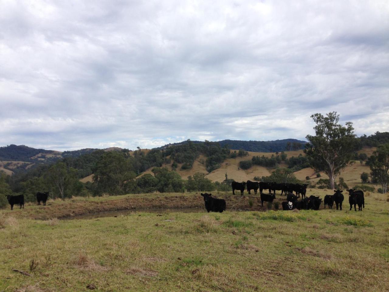 Bobby'S Country Rental Eccleston エクステリア 写真